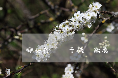 哪些行為屬于校園欺凌？